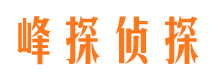 平陆婚姻外遇取证